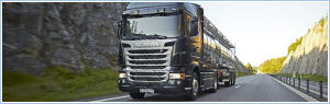 Truck transport, road freight transport, loads for trucking, backway trucks for freight transportation, delivery cargo.